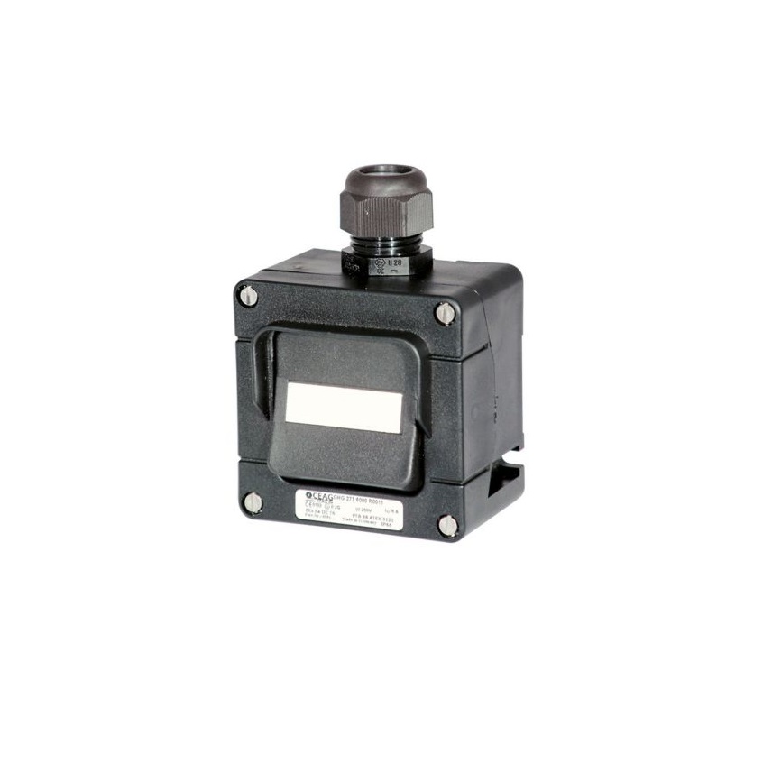 کلید تک و دو پل ضد انفجار CEAG | Eaton GHG 273 6000 R0011